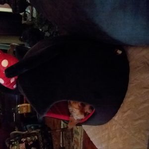 Meet your Posher, Emkay